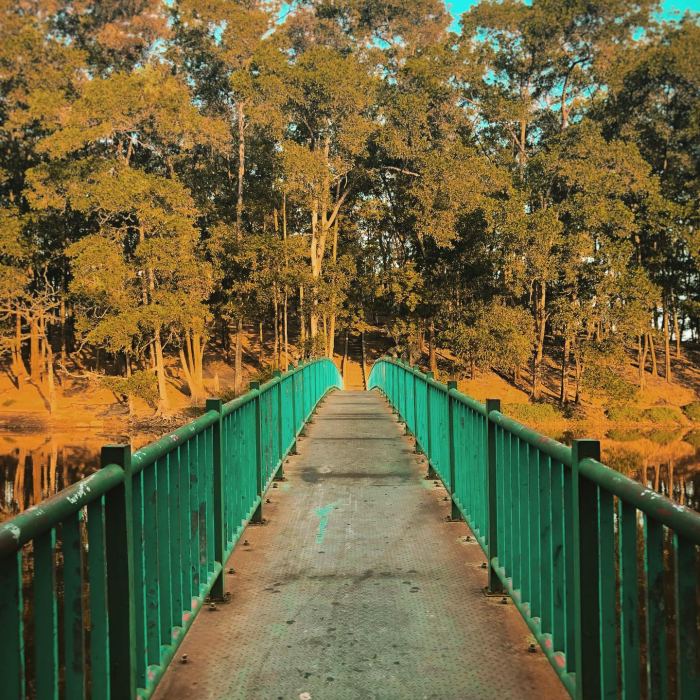 cầu sắt hồ Trúc Đắk Nông 