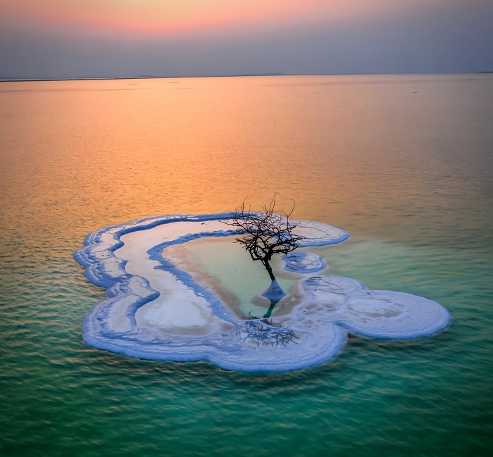 Cây cô đơn trên Biển Chết là cây cô đơn trên thế giới mang vẻ đẹp ấn tượng