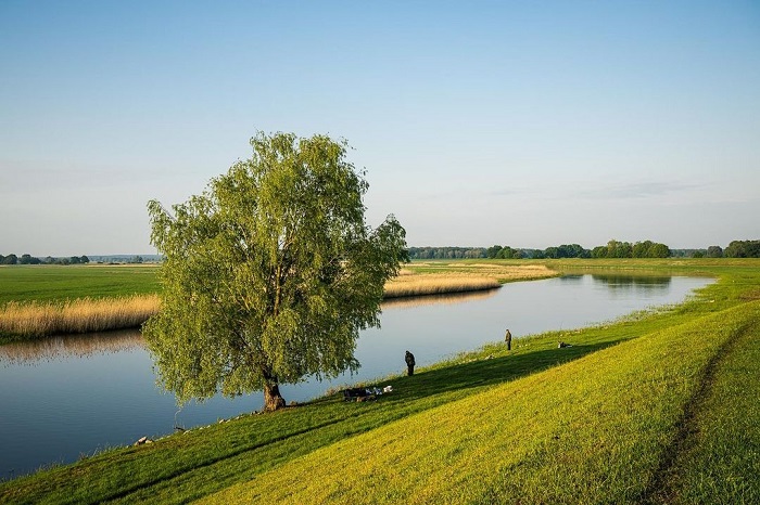 Elbe là con sông nổi tiếng châu Âu, mê hoặc du khách bởi vẻ đẹp nên thơ