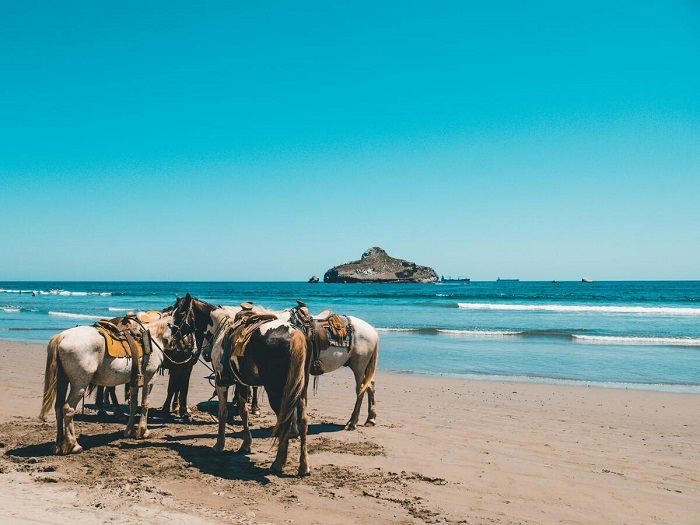 Cưỡi ngựa dọc theo những bãi biển hoang sơ là điều nên làm ở đảo Olkhon Nga