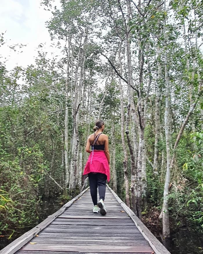 Đi bộ trong rừng là hoạt động thú vị ở vườn quốc gia Tanjung Puting
