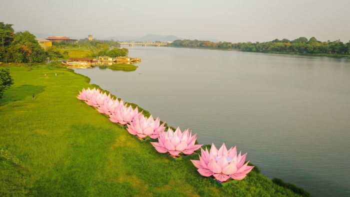 Du lịch Huế mùa Phật đản hoa sen trên sông hương