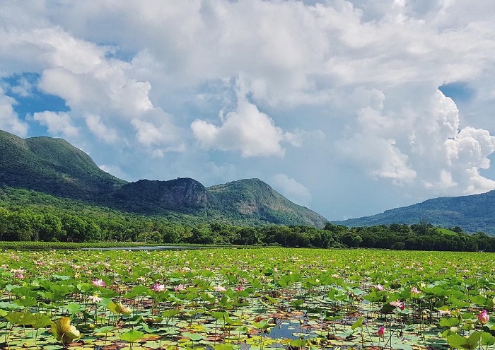 Hồ An Hải là hồ trên đảo ở Việt Nam có cảnh đẹp thơ mộng