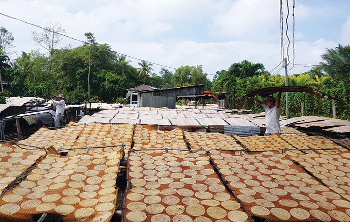 Khám phá công đoạn làm bánh phồng ở làng nghề bánh phồng Phú Mỹ