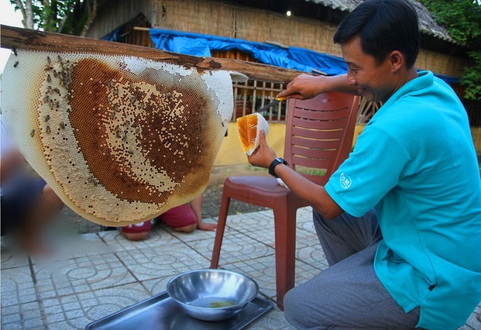 Nghề lấy mật ong rừng tràm U Minh Hạ  