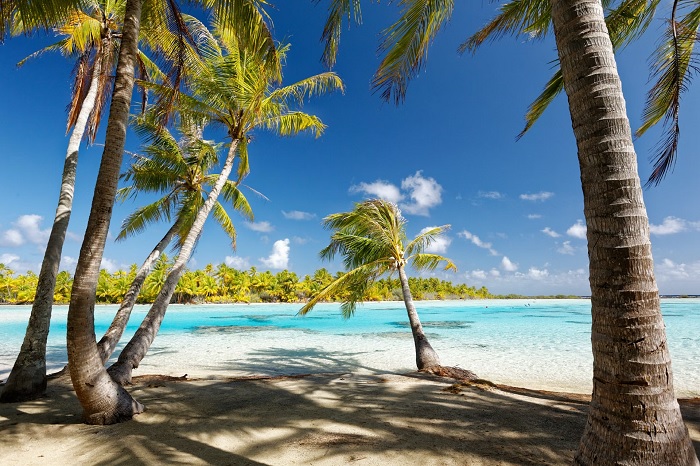 Nhưng bãi biển xanh với hàng dừa đung đưa Quần đảo Tuamotu