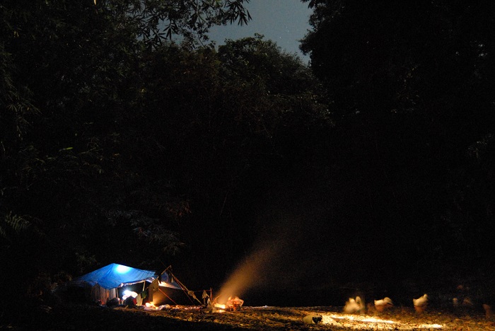 Nghỉ đêm giữa rừng rậm là hoạt động thú vị ở vườn quốc gia Tanjung Puting