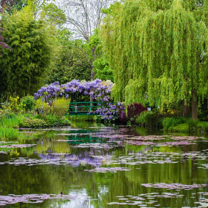 Khu vườn nước có thể là phần nổi tiếng nhất trong Khu vườn của Monet tại Giverny