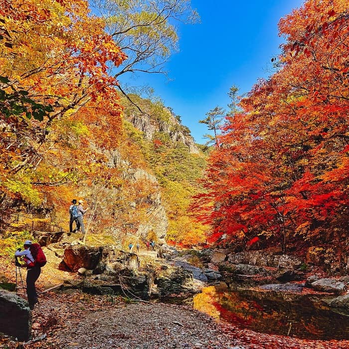 Vườn quốc gia Juwangsan Hàn Quốc 