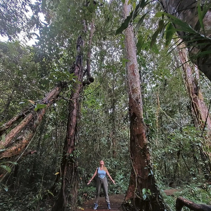 Trekking ở vườn quốc gia Gunung Mulu Malaysia 