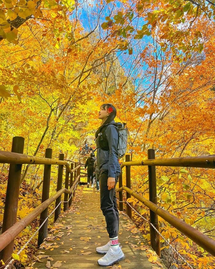 Đi bộ ở vườn quốc gia Juwangsan Hàn Quốc 