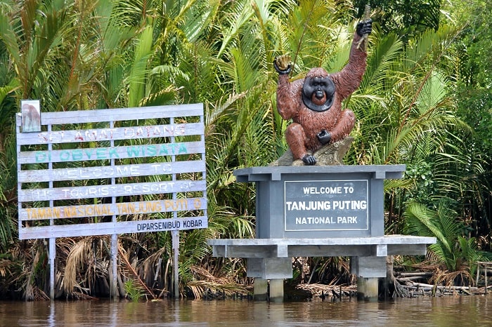 Vườn quốc gia Tanjung Puting Indonesia