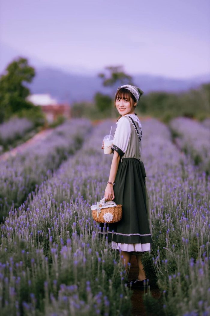 mùa hoa lavender Đà Lạt tháng mấy 