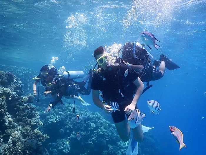 Lặn và lặn bằng ống thở là điều cần làm ở bãi biển Hurghada và khu vực xung quanh 