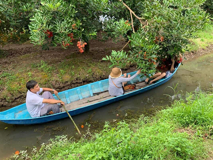 Khu du lịch sinh thái Ngã Bảy Sông Garden - Chèo xuồng trong kênh rạch