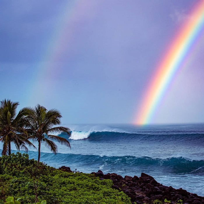 Hawaii là một trong những địa điểm ngắm cầu vồng đẹp nhất thế giới mà bạn nên ghé thăm