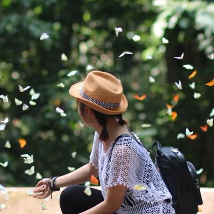 Vườn Cúc Phương là điểm săn bướm đẹp ở Việt Nam mà bạn nên ghé thăm