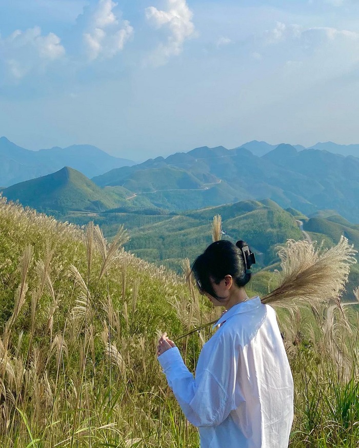 Bình Liêu là đồng cỏ lau đẹp ở Việt Nam thu hút giới trẻ