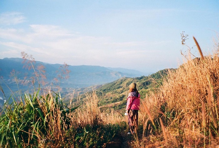 Măng Đen là đồng cỏ lau đẹp ở Việt Nam cảnh sắc thơ mộng