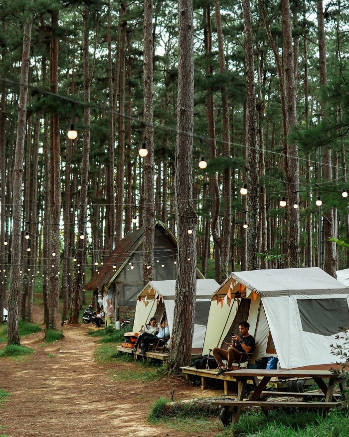 CampArt by #MợJen là khu cắm trại giữa rừng thông ở Việt Nam rất lãng mạn