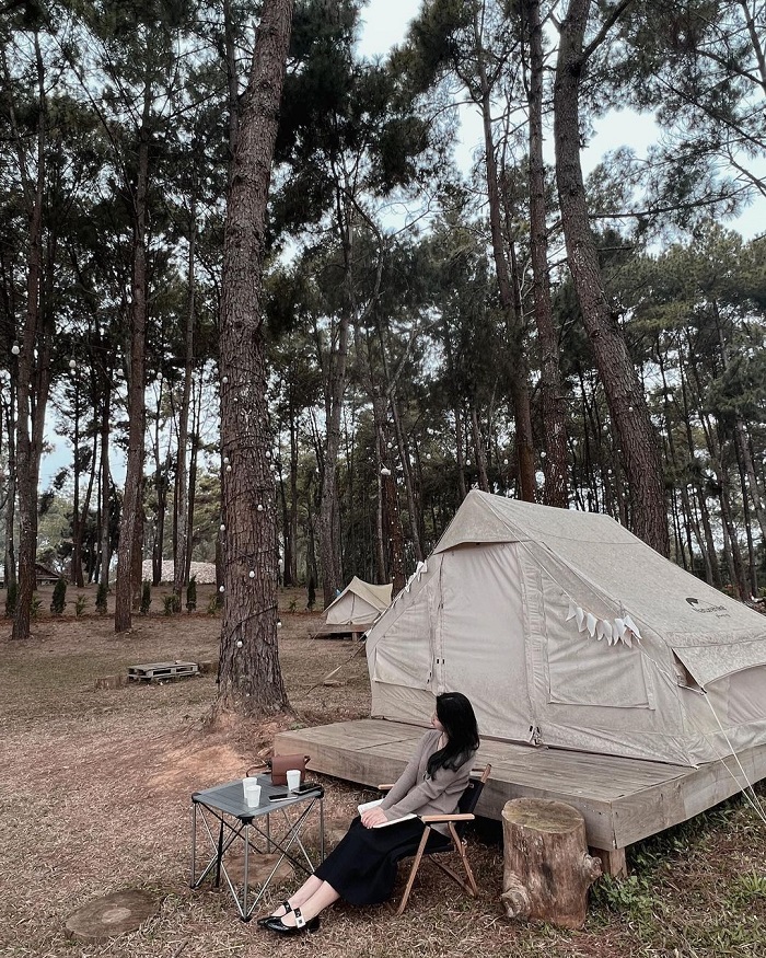 Phoenix Camp Ground là khu cắm trại giữa rừng thông ở Việt Nam tại Mộc Châu