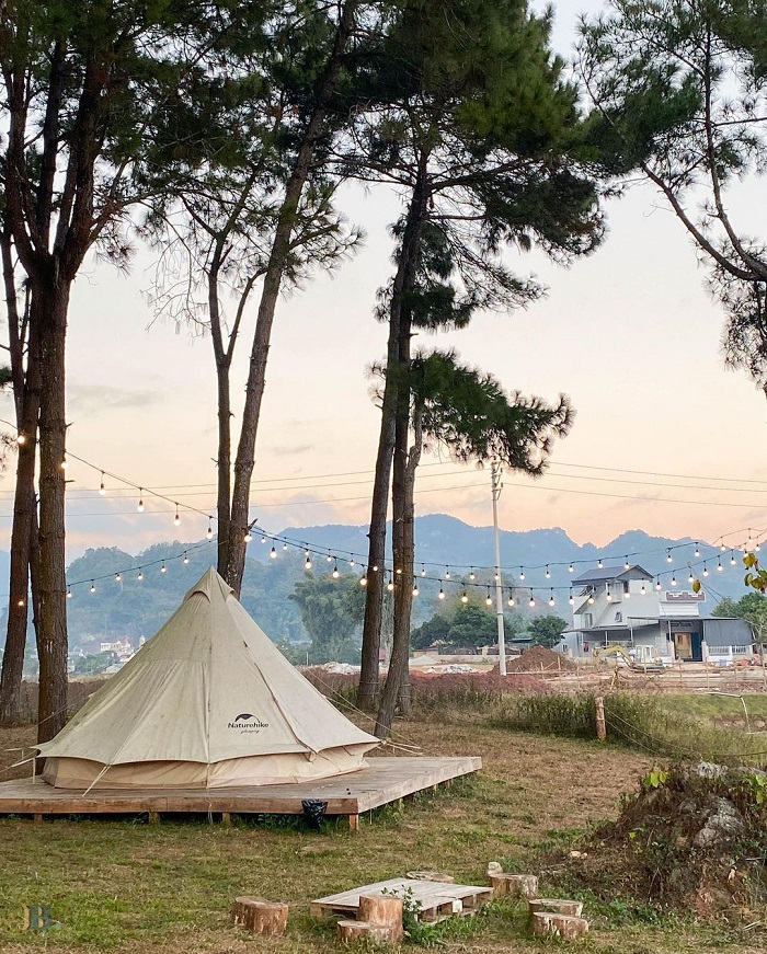 Phoenix Camp Ground là khu cắm trại giữa rừng thông ở Việt Nam góc nào cũng chất