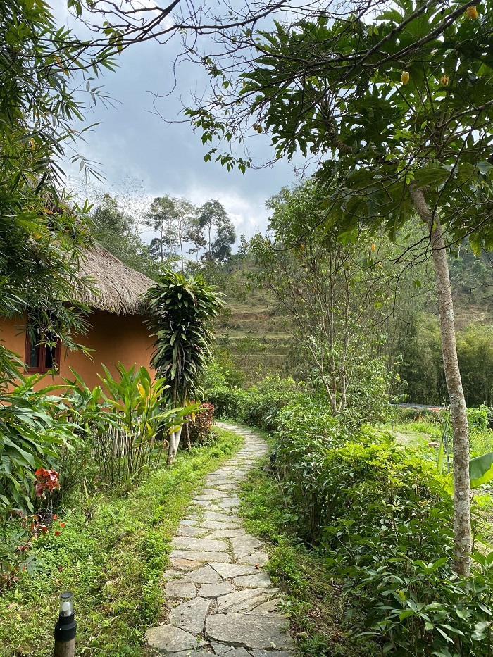 Pan Hou Village Hà Giang được bao quanh bởi bức tranh thiên nhiên xanh mát