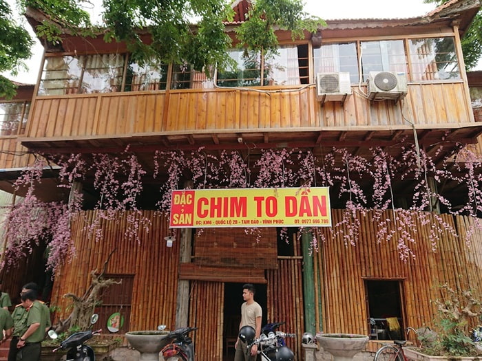 quán ăn ngon Vĩnh Phúc - Nhà hàng Chim To Dần