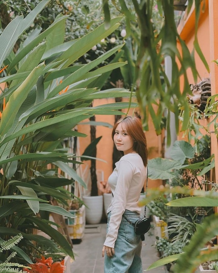 quán cafe đẹp ở thành phố Hải Phòng - Vivaria – Coffee & Trees