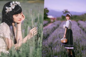 Trải nghiệm mùa hoa lavender Đà Lạt tím biếc đầy mê hoặc