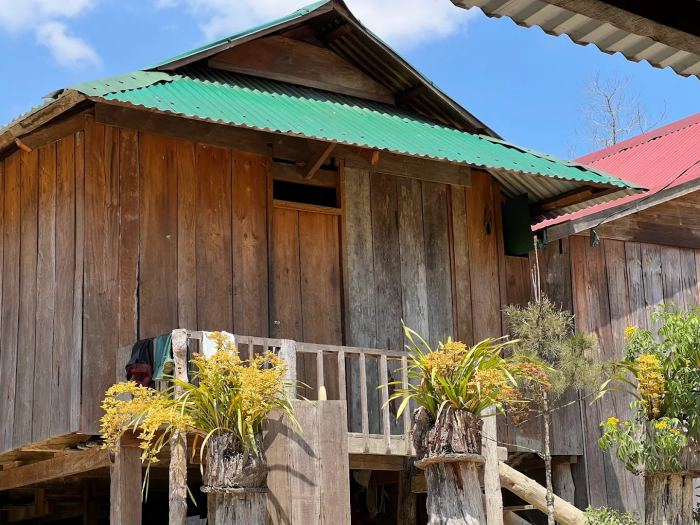 Mùa địa lan ở Vi Rơ Ngheo Măng Đen 