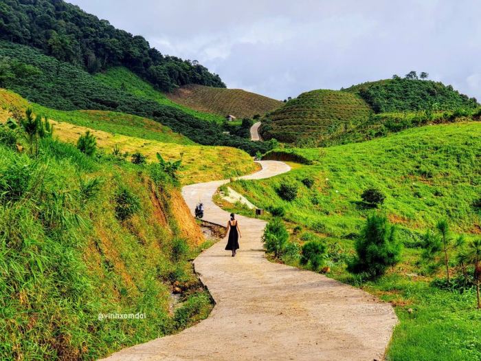 điểm du lịch tháng 6 ở Bảo Lộc khung cảnh đồi Dổi điểm du lịch tháng 6 ở Bảo Lộc khung cảnh đồi Dổi
