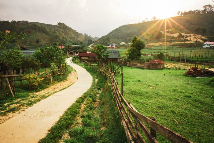 Mùa địa lan ở Vi Rơ Ngheo Măng Đen 