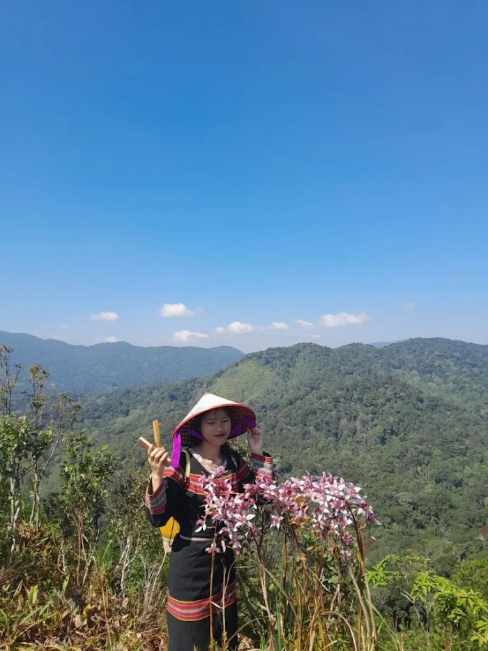 Mùa địa lan ở Vi Rơ Ngheo Măng Đen 