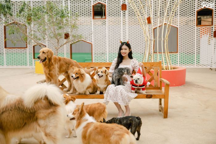 nông trại cún Puppy Farm Đà Lạt nông trại cún Puppy Farm Đà Lạt