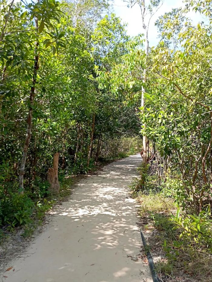Suối Tiên Phú Quốc