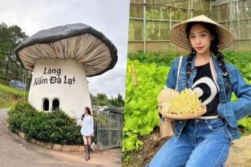 Đến làng Nấm Đà Lạt "xứ thần tiên" ẩn mình giữa cao nguyên