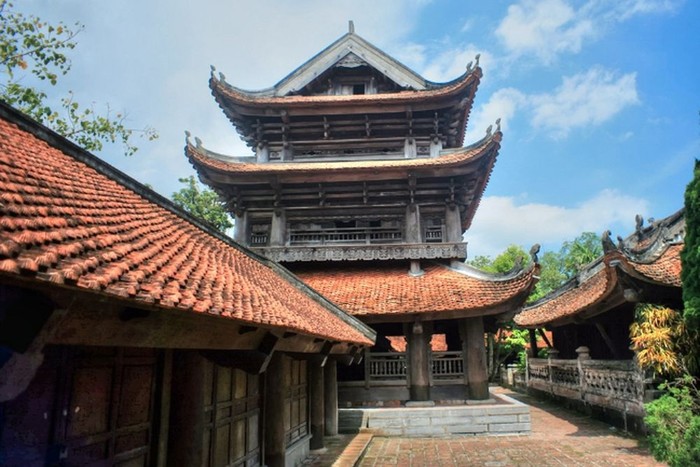 Acacia Thai Binh pagoda 4