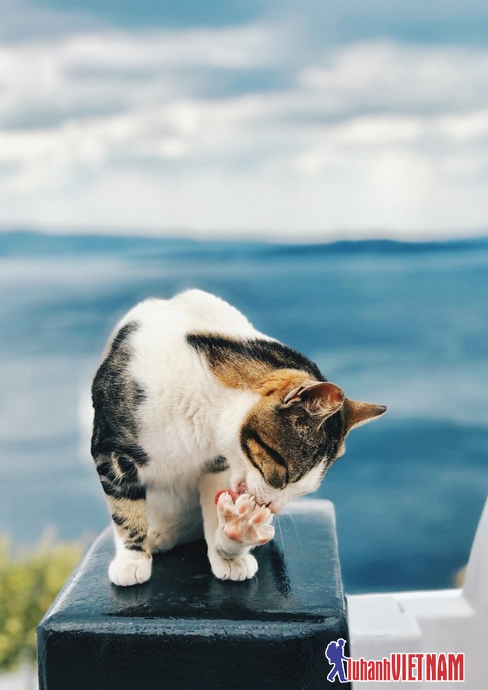 kinh-nghiem-du-lich-santorini-cua-chang-trai-viet-31