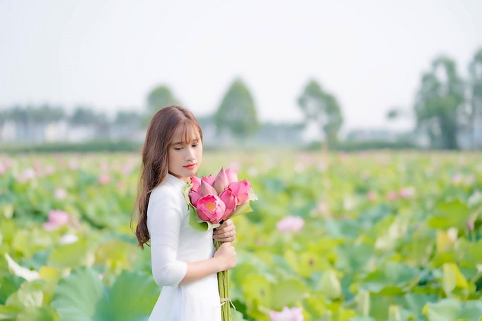 Get together to check-in Quang Chau lotus dress is in a beautiful season in Bac Giang 