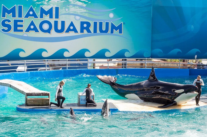 Những kinh nghiệm du lịch Miami bạn nên bỏ túi