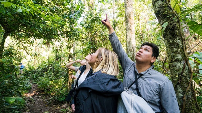 Bạn có muốn thử khám phá vẻ đẹp hoang dã của rừng nhiệt đới Amazon?