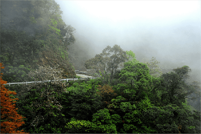 Immerse yourself in the wild nature at Bach Ma National Park