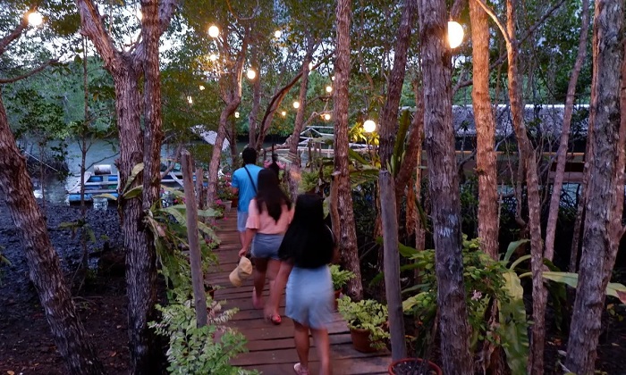 Ngắm đom đóm ở Puerto Princesa