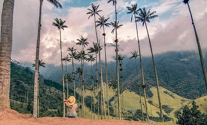 Top 12 địa điểm du lịch Colombia cuốn hút nhất