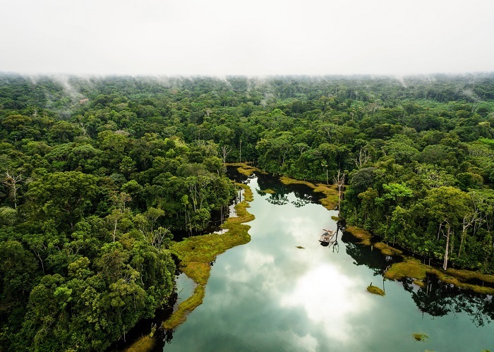 Bạn có muốn thử khám phá vẻ đẹp hoang dã của rừng nhiệt đới Amazon?