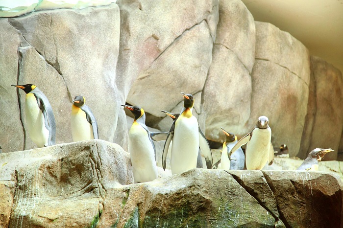 kinh nghiệm tham quan vườn thú Tierpark Hagenbeck