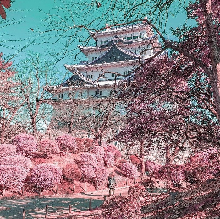 Lâu đài Nagoya - Du lịch Nagoya
