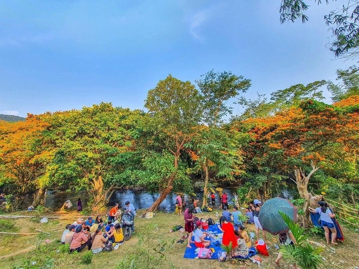 Picnic - activity not to be missed at Ta Ma stream in Binh Dinh