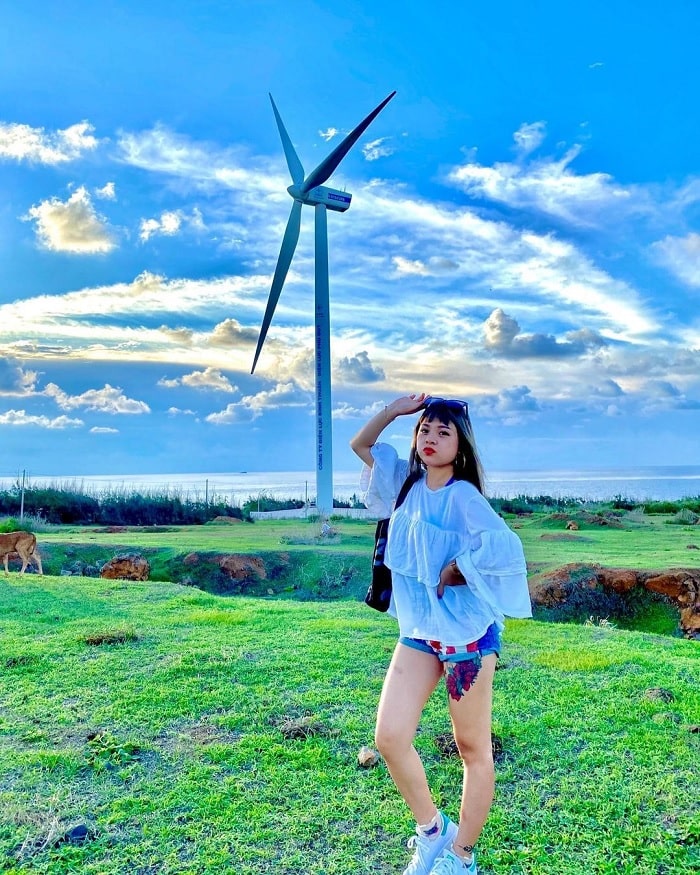 Peaceful scenery - the highlight of Phu Quy wind power phong